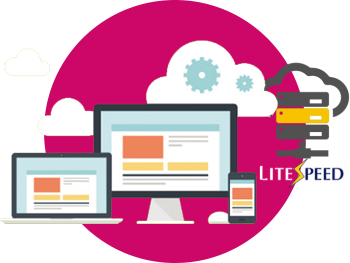 Powerful LiteSpeed Webserver